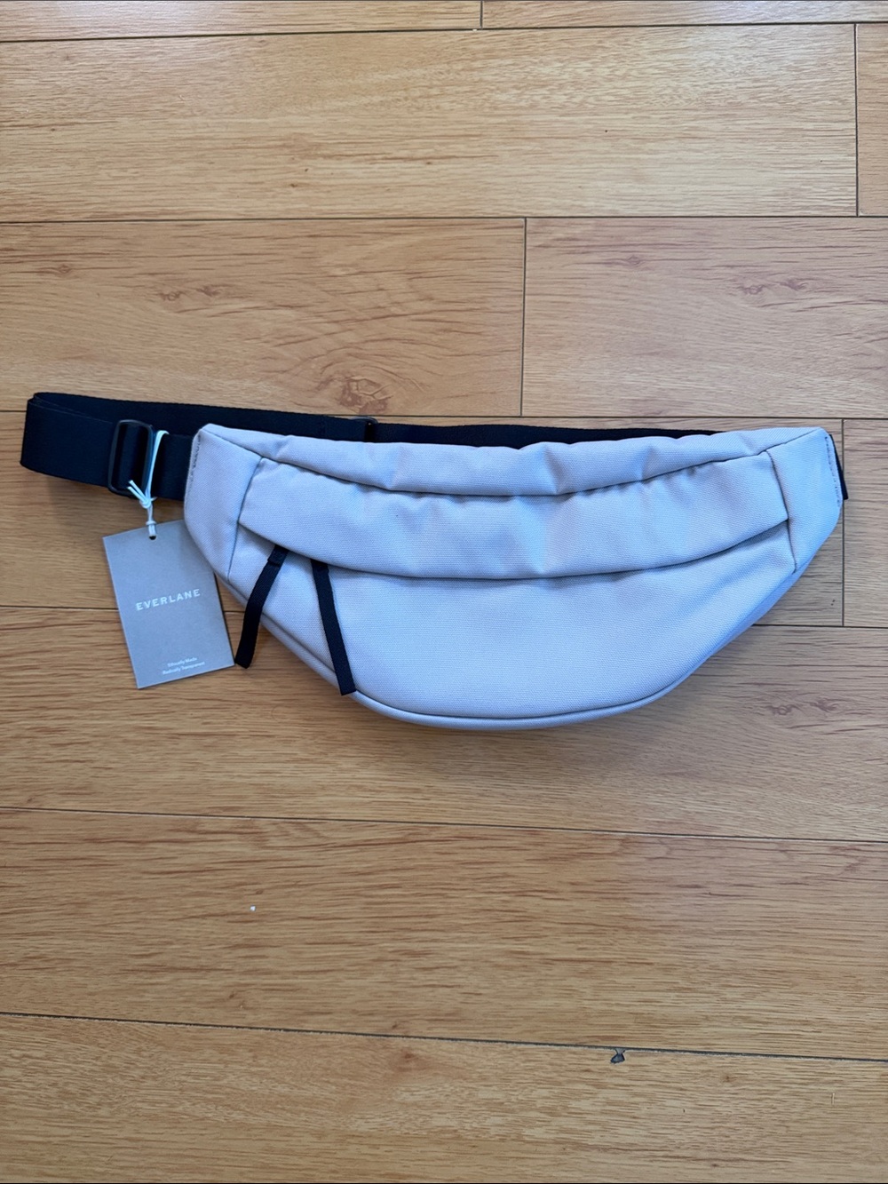 Everlane The Renew Transit Fanny Pack NWT